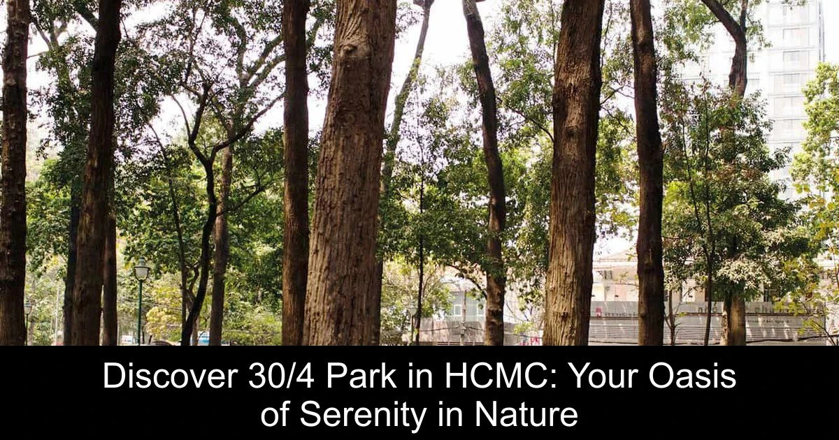Discover 30/4 Park in HCMC: Your Oasis of Serenity in Nature