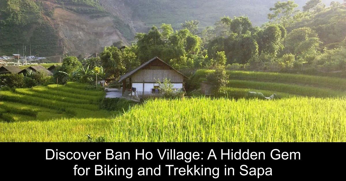 Discover Ban Ho Village: A Hidden Gem for Biking and Trekking in Sapa