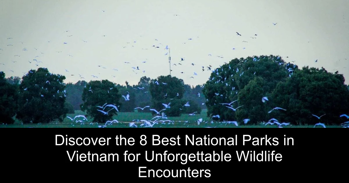 Discover the 8 Best National Parks in Vietnam for Unforgettable Wildlife Encounters