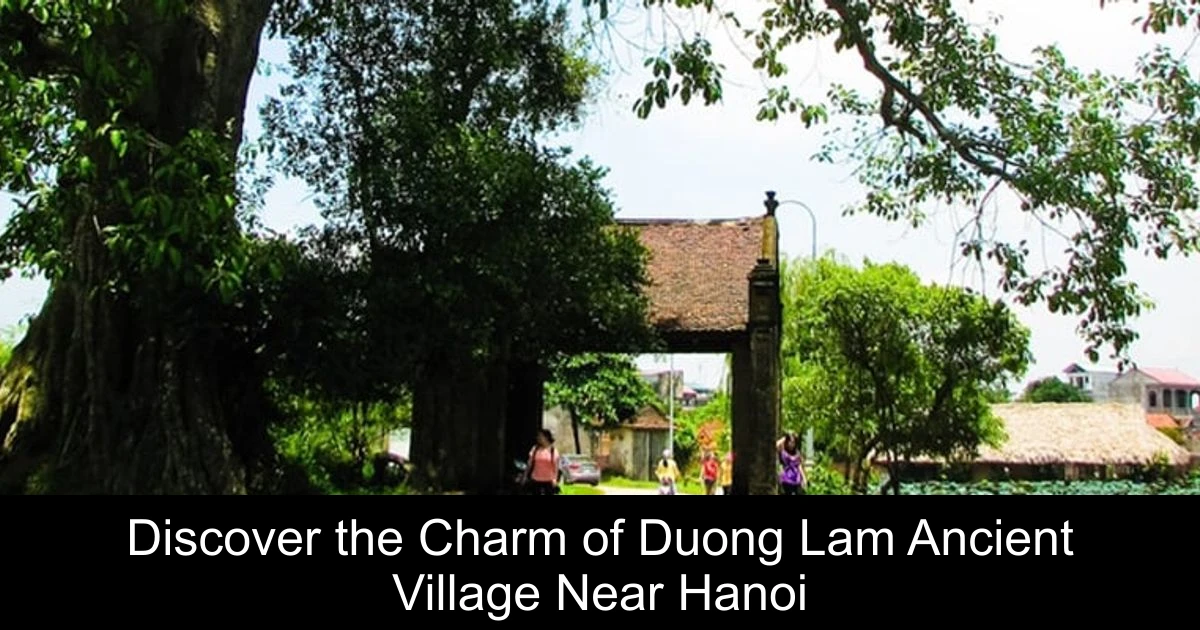 Discover the Charm of Duong Lam Ancient Village Near Hanoi