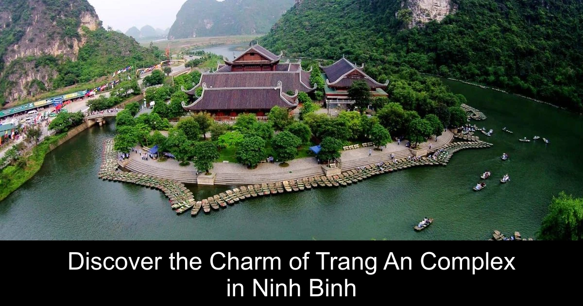 Discover the Charm of Trang An Complex in Ninh Binh