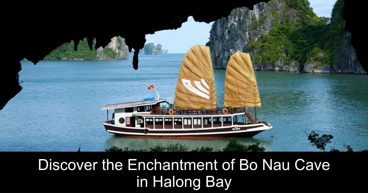 Discover the Enchantment of Bo Nau Cave in Halong Bay