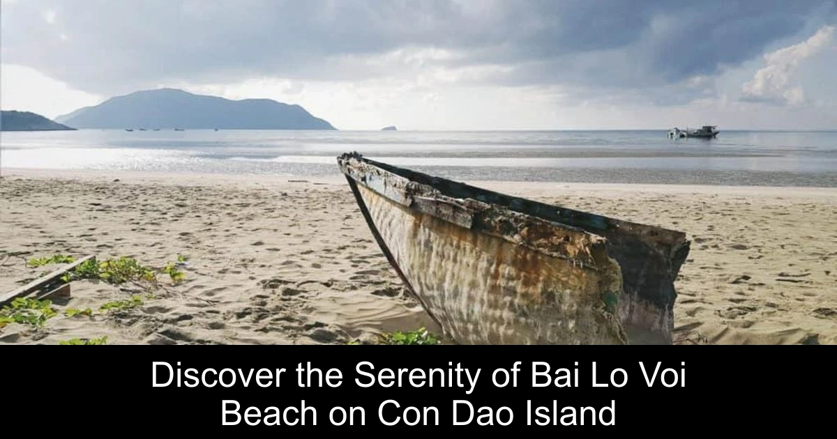 Discover the Serenity of Bai Lo Voi Beach on Con Dao Island