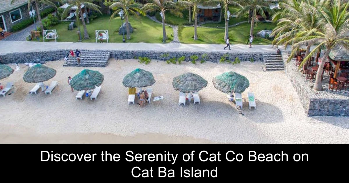 Discover the Serenity of Cat Co Beach on Cat Ba Island