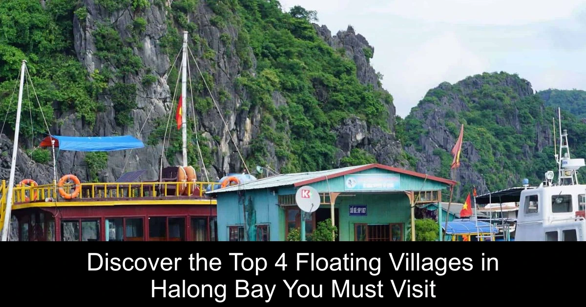 Discover the Top 4 Floating Villages in Halong Bay You Must Visit