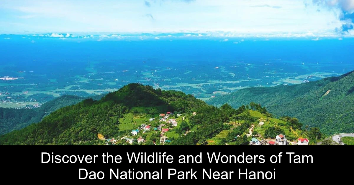 Discover the Wildlife and Wonders of Tam Dao National Park Near Hanoi