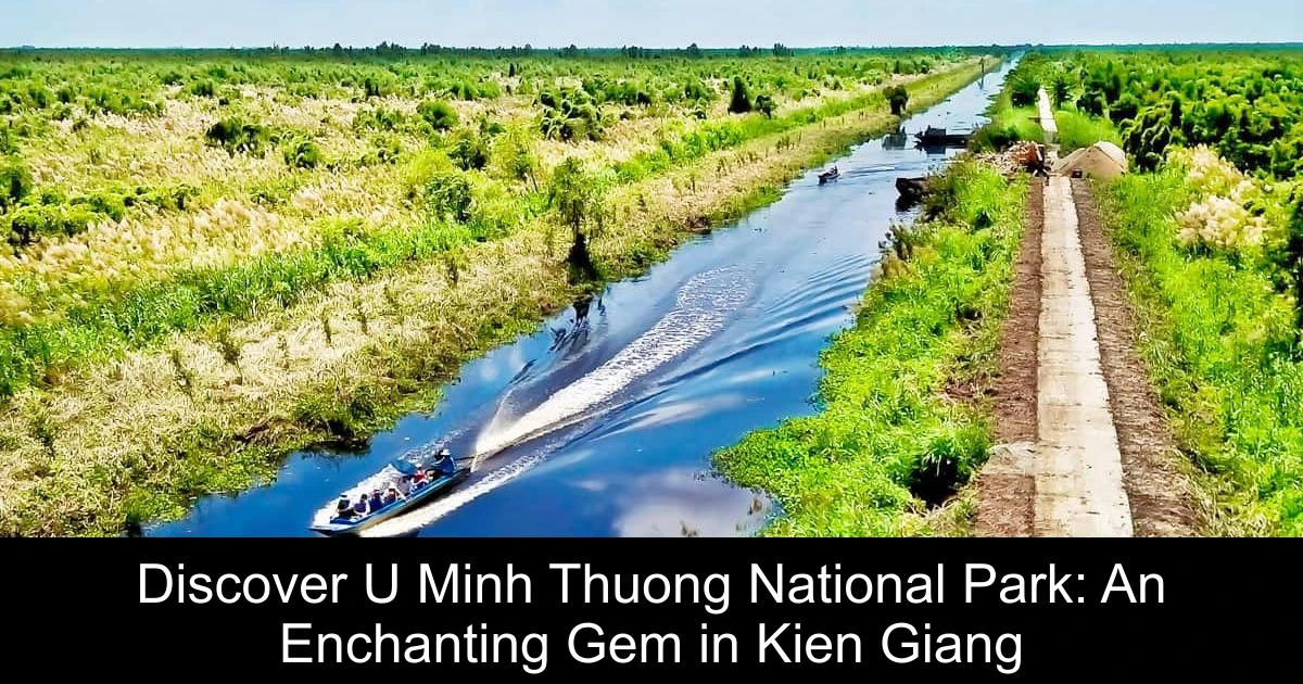 Discover U Minh Thuong National Park: An Enchanting Gem in Kien Giang