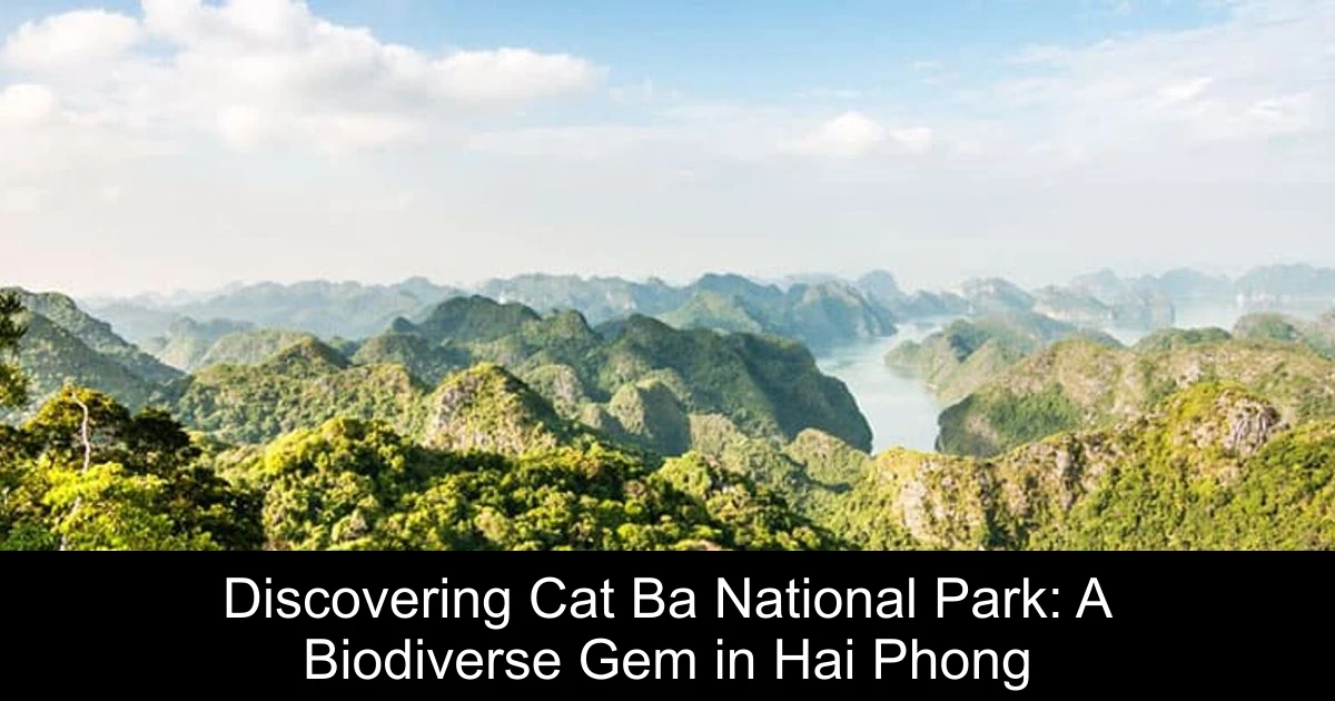 Discovering Cat Ba National Park: A Biodiverse Gem in Hai Phong
