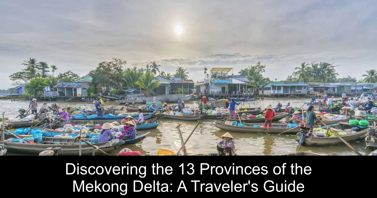 Discovering the 13 Provinces of the Mekong Delta: A Traveler's Guide