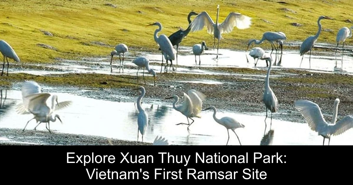 Explore Xuan Thuy National Park: Vietnam's First Ramsar Site