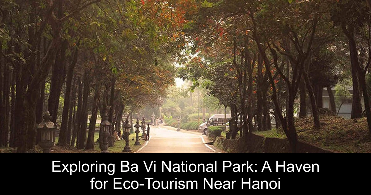 Exploring Ba Vi National Park: A Haven for Eco-Tourism Near Hanoi