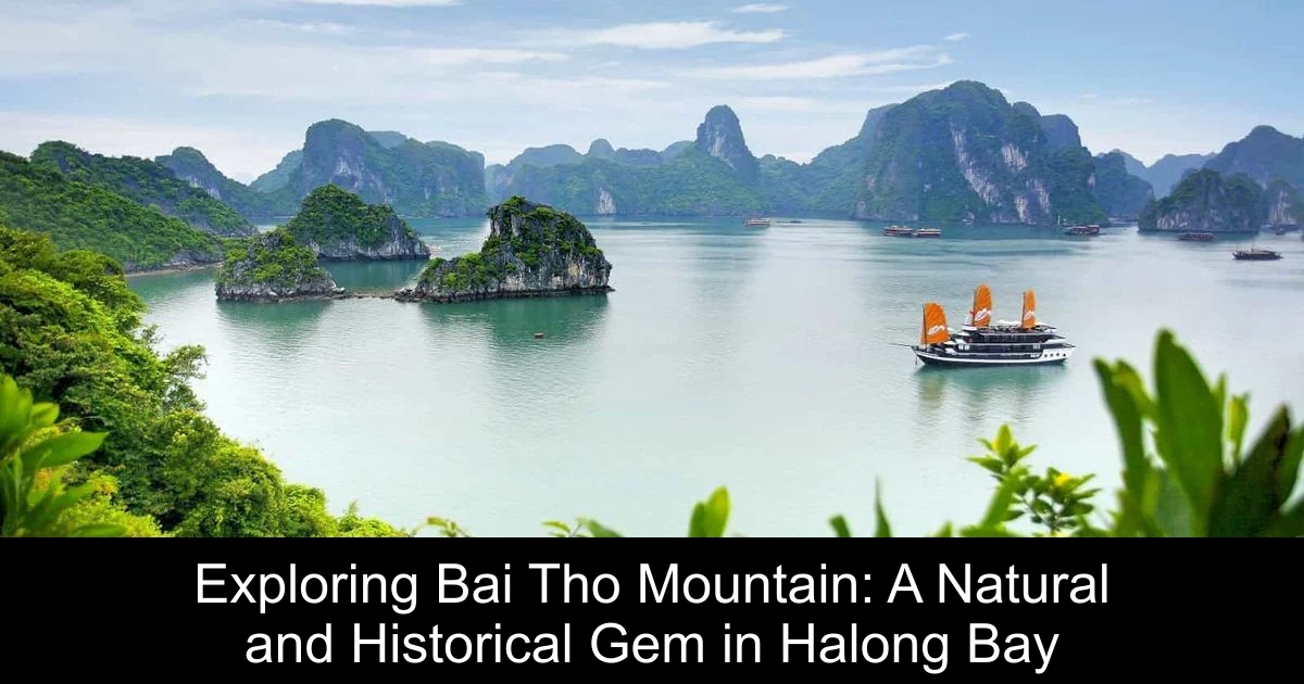 Exploring Bai Tho Mountain: A Natural and Historical Gem in Halong Bay