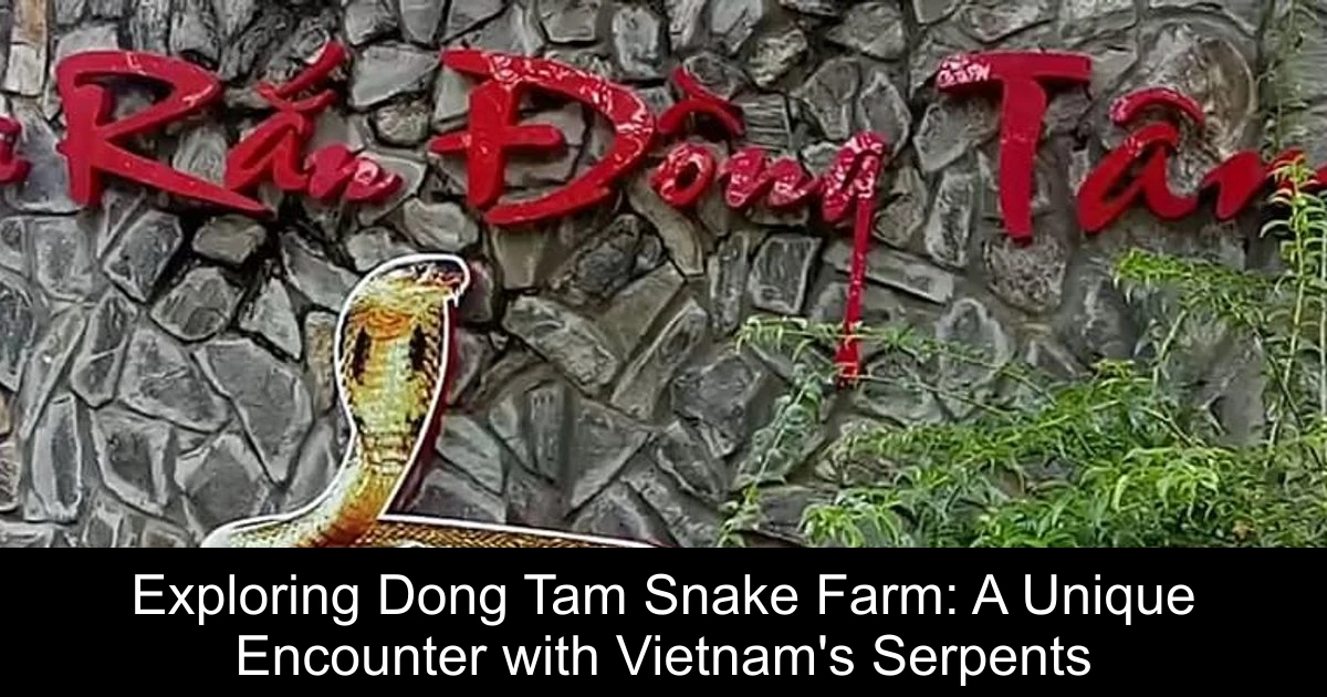 Exploring Dong Tam Snake Farm: A Unique Encounter with Vietnam's Serpents