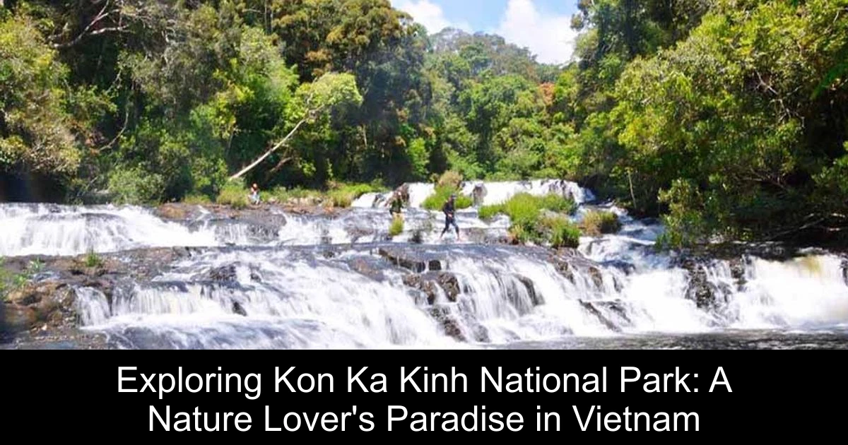 Exploring Kon Ka Kinh National Park: A Nature Lover's Paradise in Vietnam