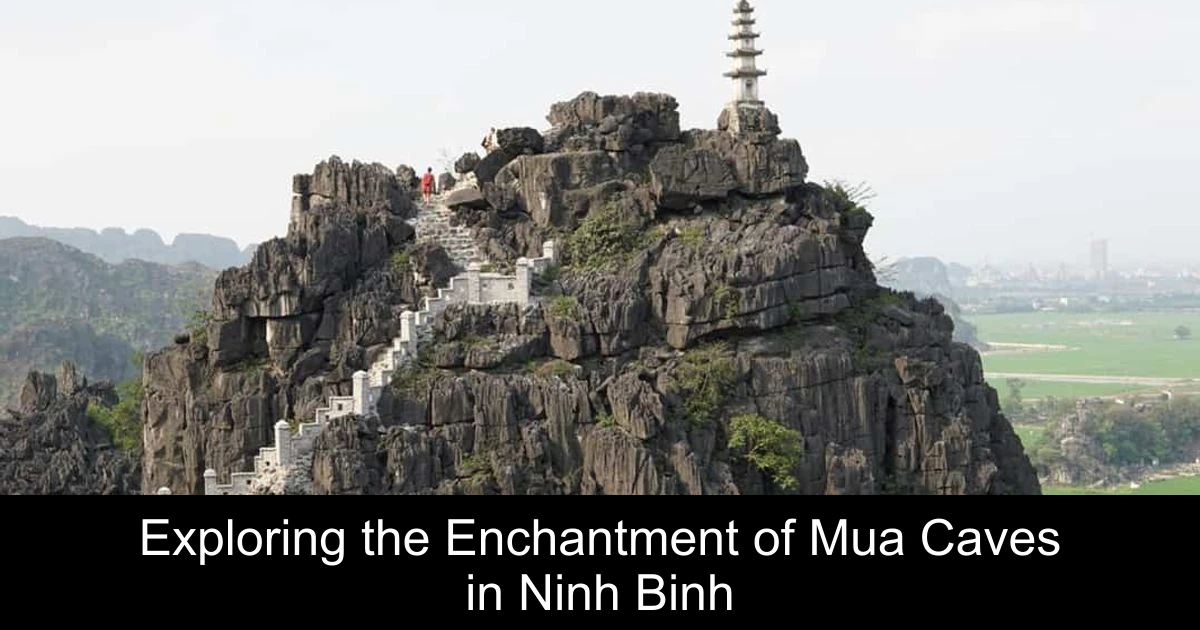 Exploring the Enchantment of Mua Caves in Ninh Binh