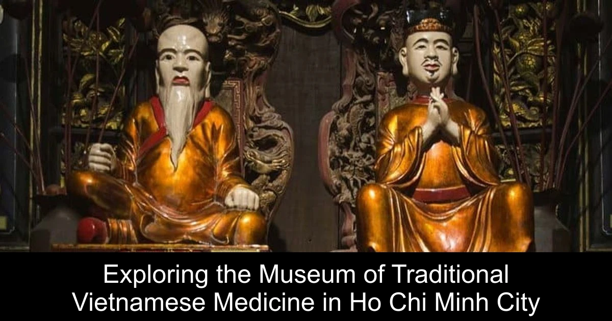 Exploring the Museum of Traditional Vietnamese Medicine in Ho Chi Minh City
