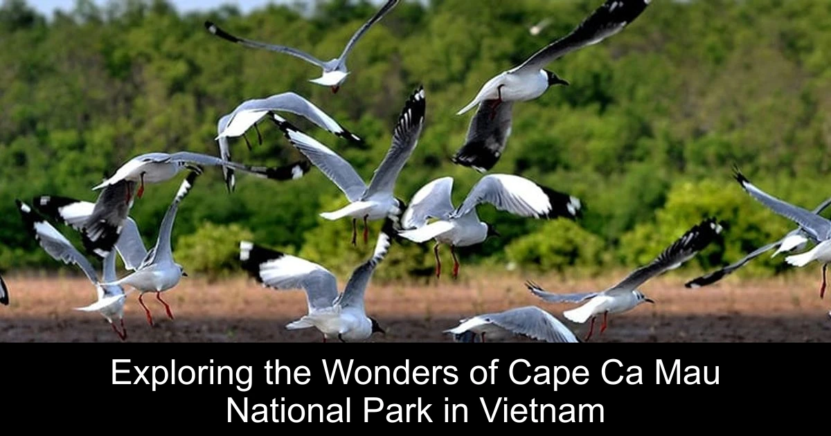 Exploring the Wonders of Cape Ca Mau National Park in Vietnam