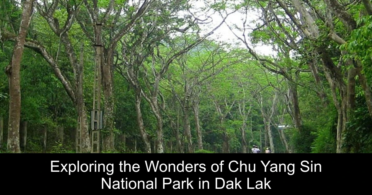 Exploring the Wonders of Chu Yang Sin National Park in Dak Lak