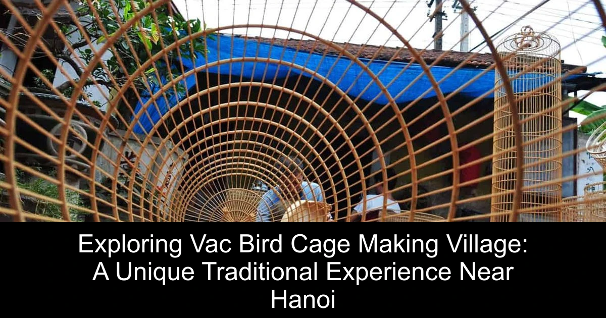 Exploring Vac Bird Cage Making Village: A Unique Traditional Experience Near Hanoi