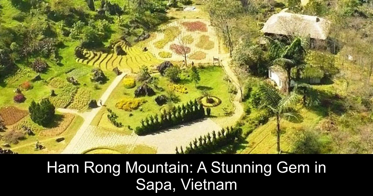 Ham Rong Mountain: A Stunning Gem in Sapa, Vietnam