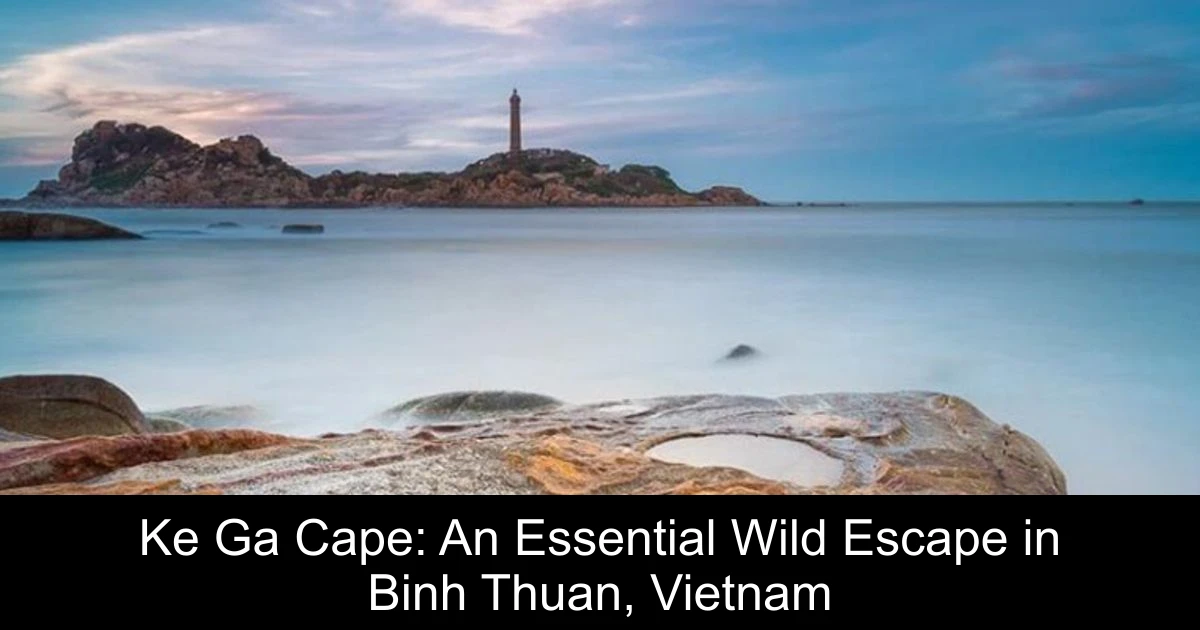 Ke Ga Cape: An Essential Wild Escape in Binh Thuan, Vietnam