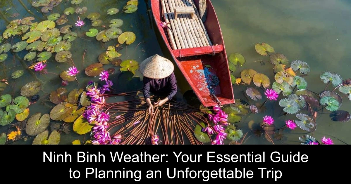Ninh Binh Weather: Your Essential Guide to Planning an Unforgettable Trip