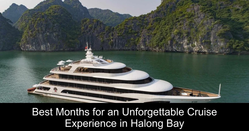 Best Months for an Unforgettable Cruise Experience in Halong Bay