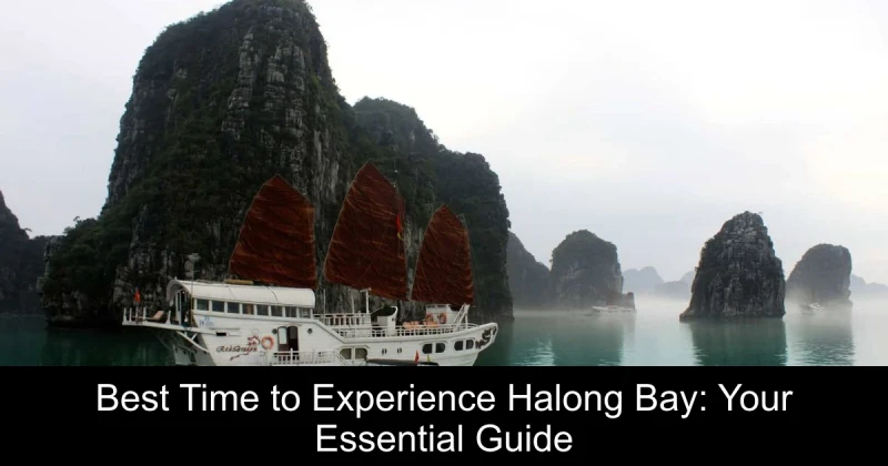 Best Time to Experience Halong Bay: Your Essential Guide