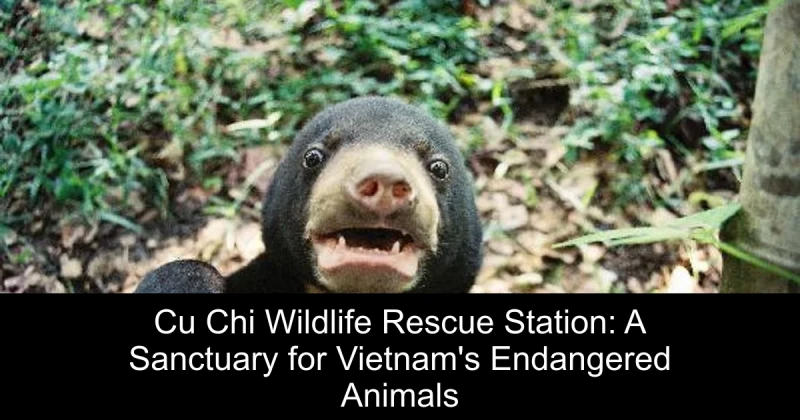 Cu Chi Wildlife Rescue Station: A Sanctuary for Vietnam's Endangered Animals