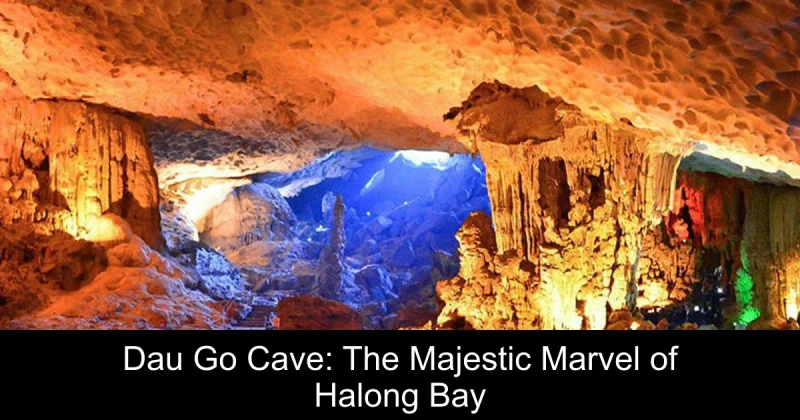 Dau Go Cave: The Majestic Marvel of Halong Bay