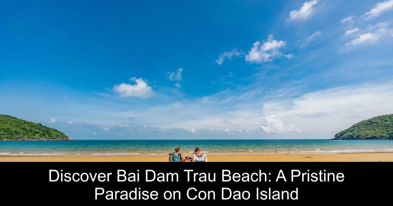 Discover Bai Dam Trau Beach: A Pristine Paradise on Con Dao Island