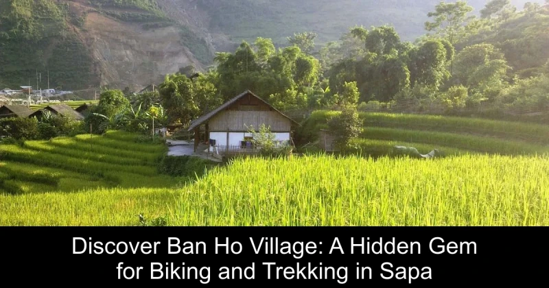 Discover Ban Ho Village: A Hidden Gem for Biking and Trekking in Sapa