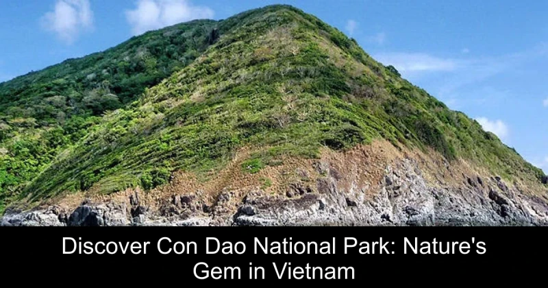 Discover Con Dao National Park: Nature's Gem in Vietnam