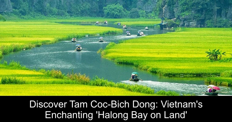 Discover Tam Coc-Bich Dong: Vietnam's Enchanting 'Halong Bay on Land'
