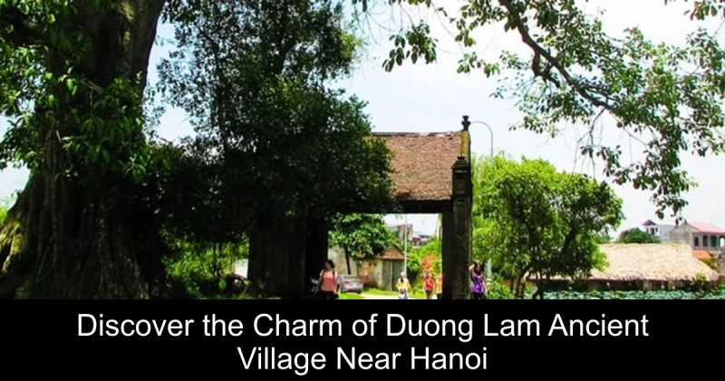 Discover the Charm of Duong Lam Ancient Village Near Hanoi
