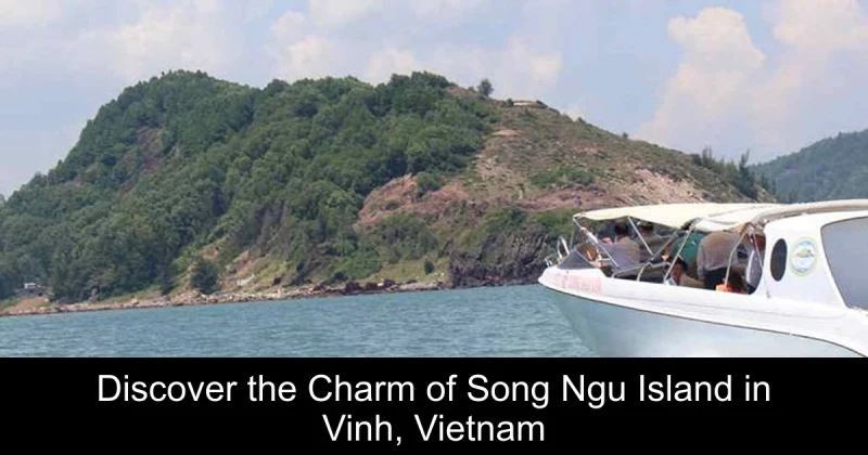 Discover the Charm of Song Ngu Island in Vinh, Vietnam