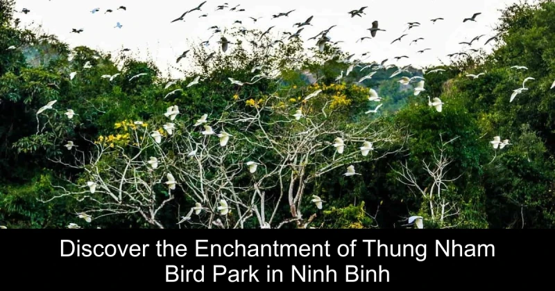 Discover the Enchantment of Thung Nham Bird Park in Ninh Binh
