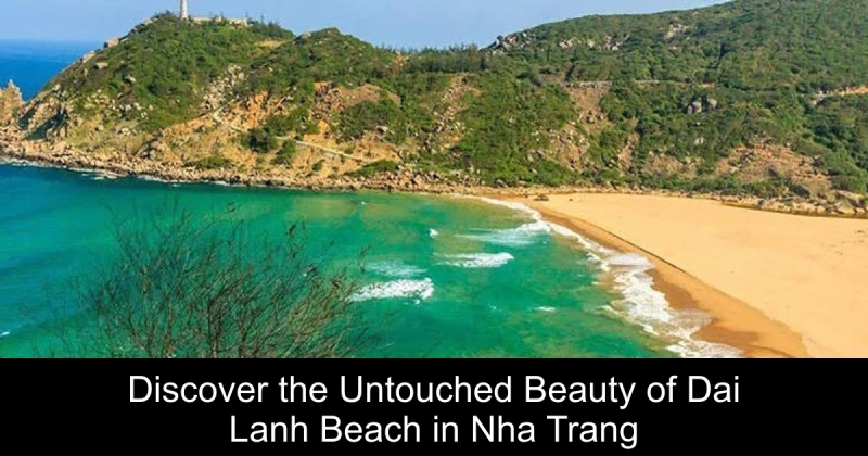 Discover the Untouched Beauty of Dai Lanh Beach in Nha Trang