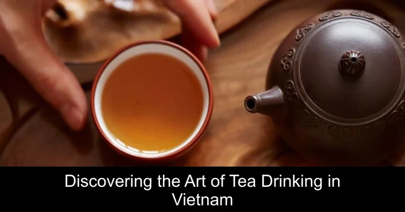 Discovering the Art of Tea Drinking in Vietnam