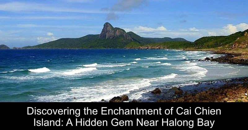 Discovering the Enchantment of Cai Chien Island: A Hidden Gem Near Halong Bay