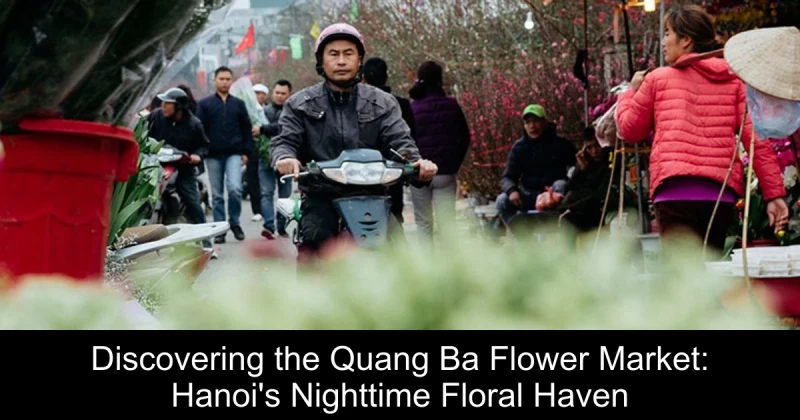 Discovering the Quang Ba Flower Market: Hanoi's Nighttime Floral Haven