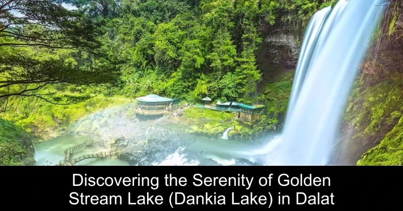 Discovering the Serenity of Golden Stream Lake (Dankia Lake) in Dalat