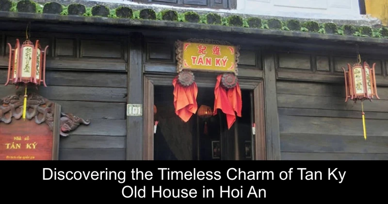 Discovering the Timeless Charm of Tan Ky Old House in Hoi An