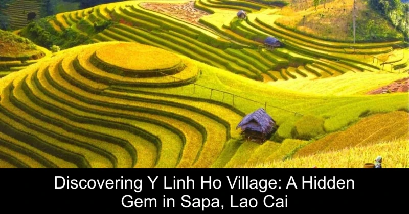 Discovering Y Linh Ho Village: A Hidden Gem in Sapa, Lao Cai