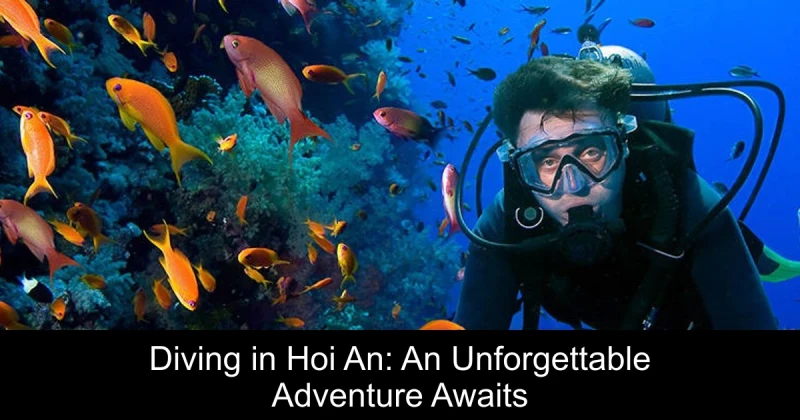 Diving in Hoi An: An Unforgettable Adventure Awaits