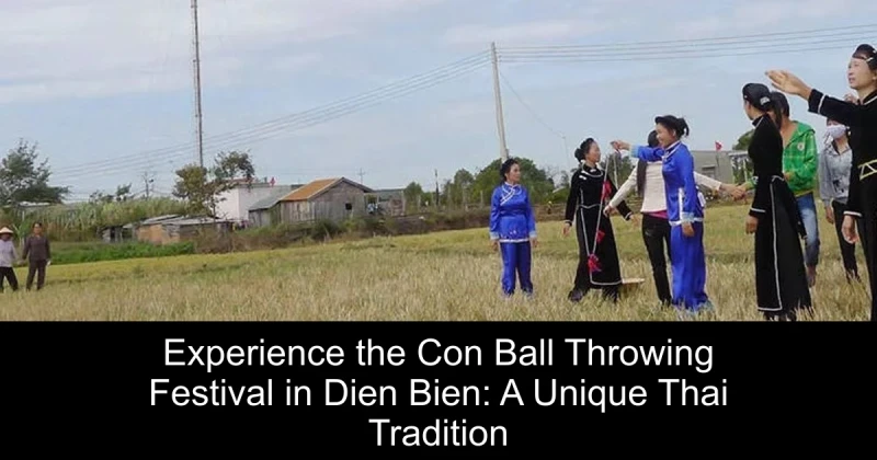 Experience the Con Ball Throwing Festival in Dien Bien: A Unique Thai Tradition