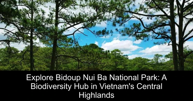 Explore Bidoup Nui Ba National Park: A Biodiversity Hub in Vietnam's Central Highlands