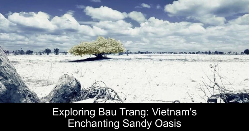 Exploring Bau Trang: Vietnam's Enchanting Sandy Oasis