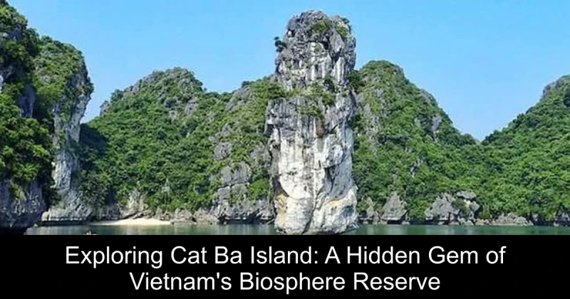 Exploring Cat Ba Island: A Hidden Gem of Vietnam's Biosphere Reserve