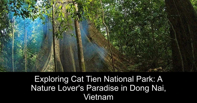Exploring Cat Tien National Park: A Nature Lover's Paradise in Dong Nai, Vietnam